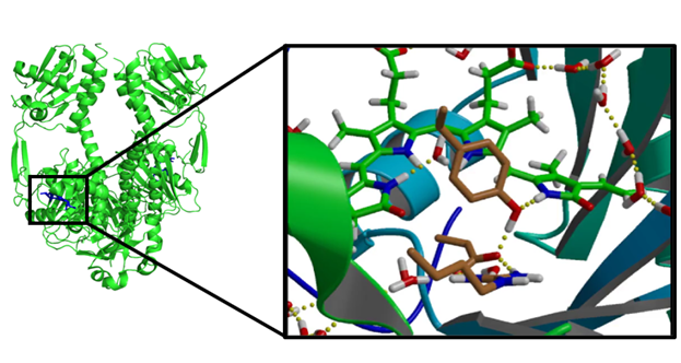 /2021-04-22-qmmm-gromacs-cp2k/phytochrome